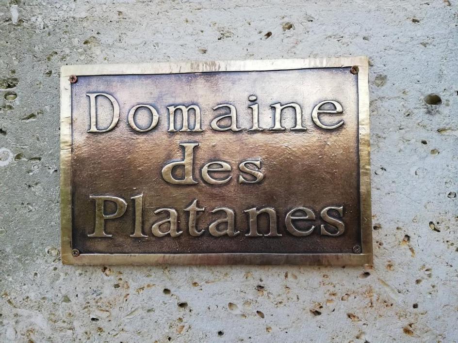 Bed and Breakfast Le Domaine Des Platanes Bourg-Charente Zewnętrze zdjęcie