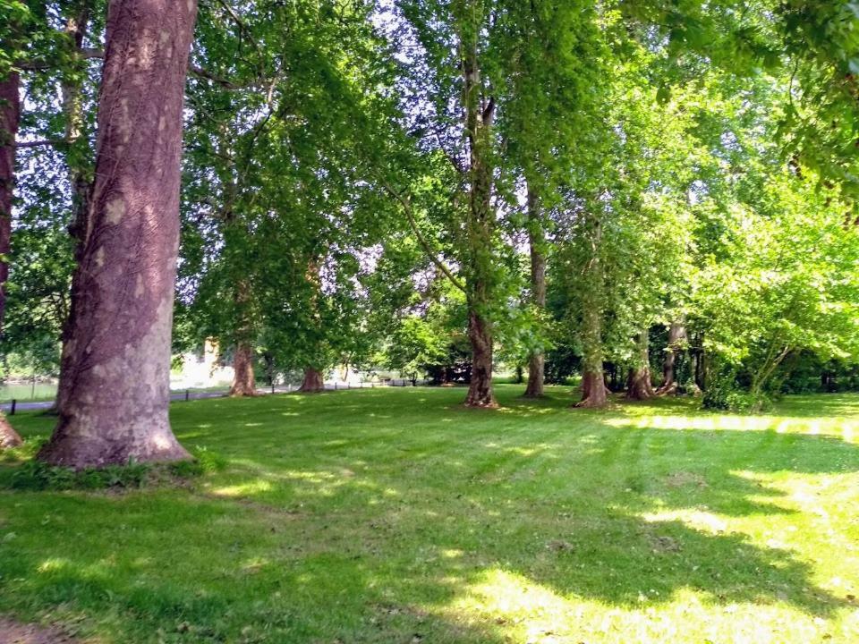 Bed and Breakfast Le Domaine Des Platanes Bourg-Charente Zewnętrze zdjęcie